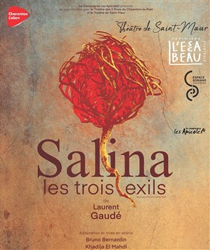 Affiche de Salina, les trois exils