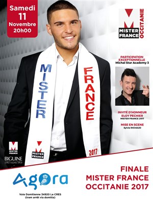 Affiche de Mister France | Occitanie