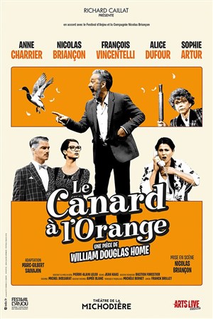 Affiche de Le Canard à l'orange | avec Nicolas Briançon