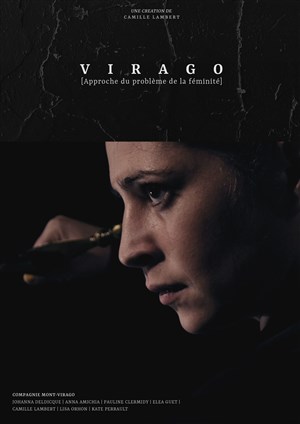 Affiche de Virago (Approche du problème de la féminité)