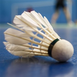 Affiche de Cours badminton jeunes 8-16 ans
