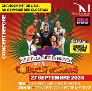Affiche de Collectif Métissé