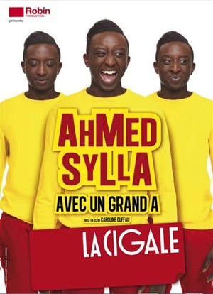 Affiche de Ahmed Sylla dans Ahmed Sylla avec un grand A