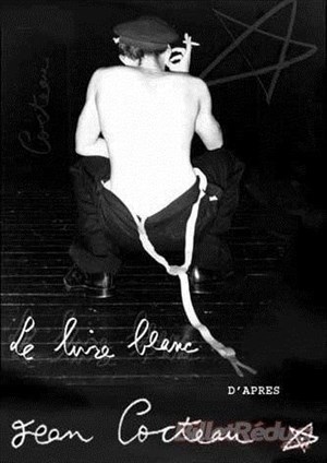 Affiche de Le Livre Blanc