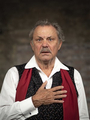 Affiche de Philippe Caubère dans Les lettres de mon moulin