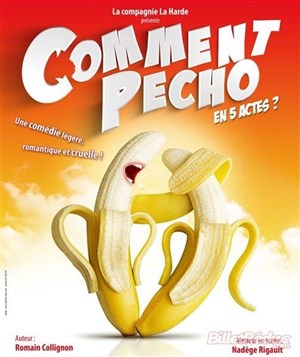 Affiche de Comment Pécho en 5 Actes ?