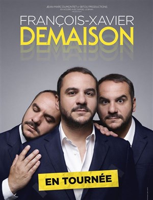 Affiche de François Xavier Demaison