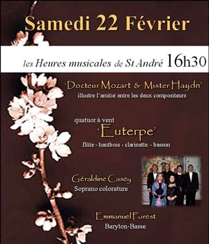 Affiche de Docteur Mozart & Mister Haydn
