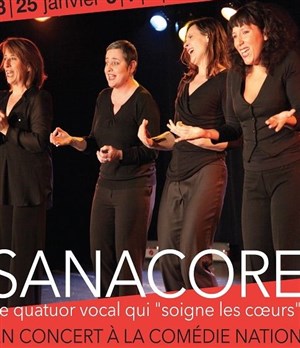 Affiche de Sanacore
