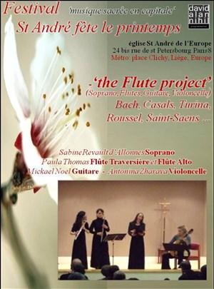 Affiche de The flute project