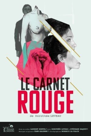 Affiche de Le Carnet Rouge