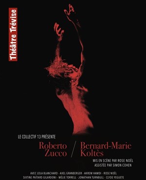 Affiche de Roberto Zucco