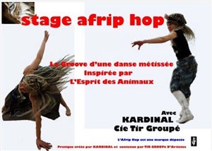 Affiche de Stage Afrip Hop