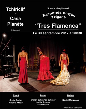 Affiche de Soirée Tres Flamenca