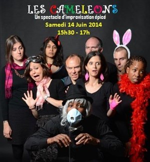 Affiche de Les Caméléons