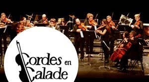 Affiche de Musiques à travers l'Europe et le temps