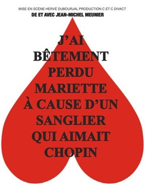 Affiche de J'ai bêtement perdu Mariette à cause d'un sanglier qui aimait Chopin