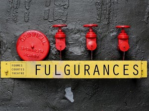 Affiche de Soirée Fulgurances : Mer + La femme cible