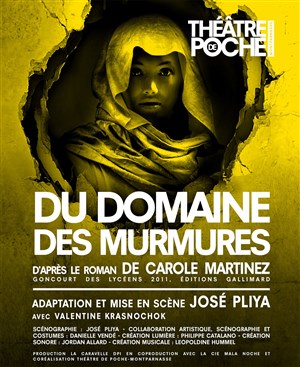 Affiche de Du domaine des murmures