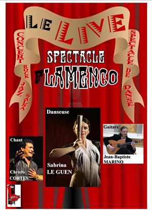 Affiche de Sabrina le Guen | Flamenco