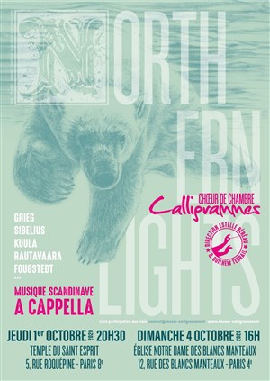 Affiche de Northern Lights