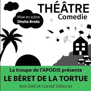 Affiche de Le Béret de la Tortue