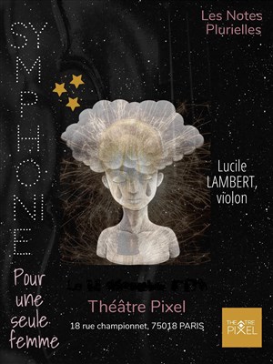 Affiche de Symphonie pour une seule femme