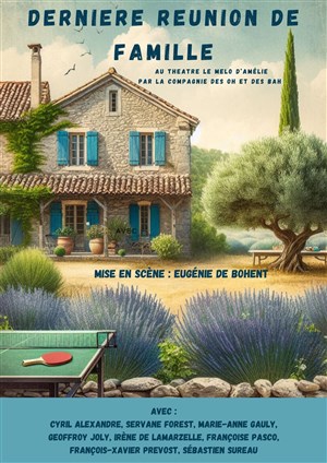 Affiche de Dernière réunion de famille