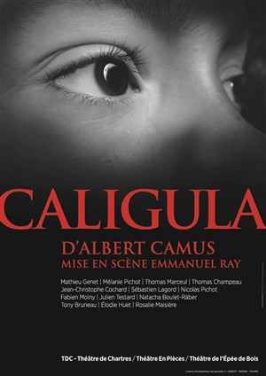 Affiche de Caligula