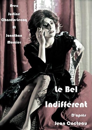 Affiche de Le bel indifférent