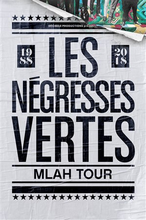 Affiche de Les Négresses Vertes