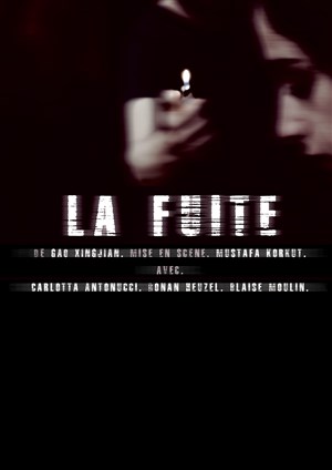 Affiche de La Fuite