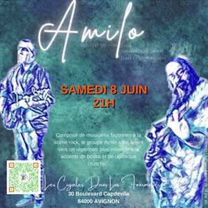 Affiche de Amilo