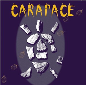 Affiche de Carapace