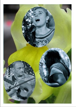 Affiche de Tiphenn Fauchois en trio