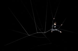 Affiche de Araneide