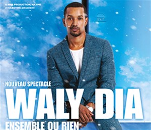 Affiche de Waly Dia dans Ensemble ou rien