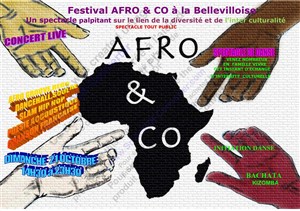 Affiche de Festival Afro&Co