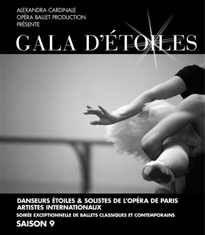 Affiche de Gala d'étoiles - Saison 9