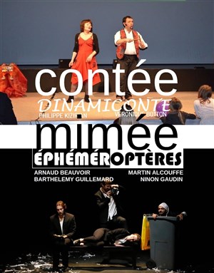 Affiche de Éphéméroptères