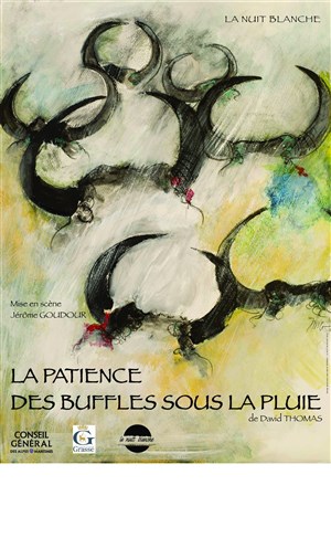 Affiche de La patience des buffles sous la pluie