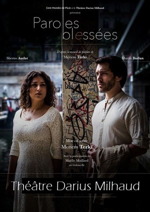 Affiche de Paroles blessées