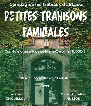 Affiche de Petites trahisons familiales