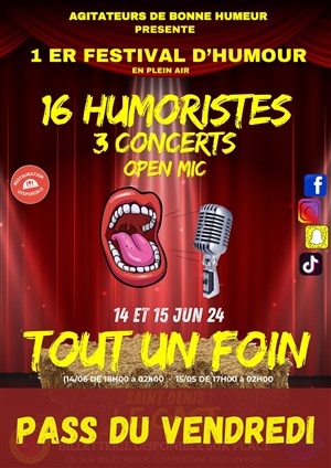 Affiche de Festival Tout un foin | Pass vendredi
