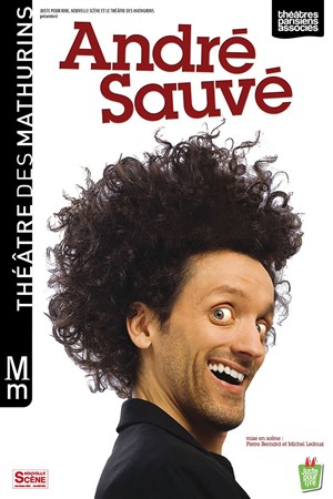 Affiche de André Sauvé