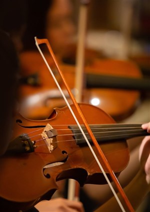 Affiche de Classic Basilique Festival : Les grands airs de musiques classiques | 23 juillet