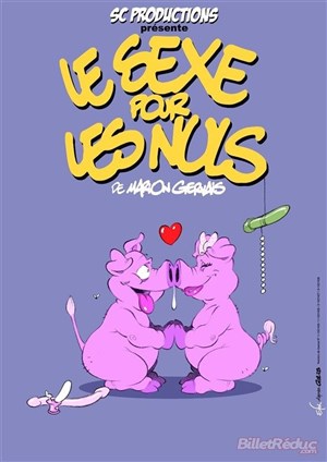 Affiche de Le sexe pour les nuls