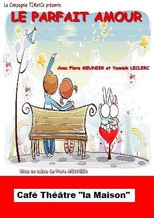 Affiche de Le Parfait Amour
