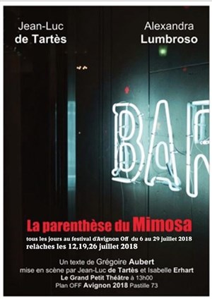 Affiche de La Parenthèse du mimosa