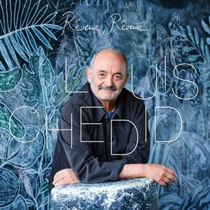 Affiche de Louis Chedid